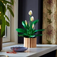 Immagine di LEGO® Botanicals Spatifillo 11504