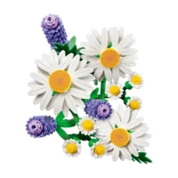 Immagine di LEGO® Botanicals Margherite 11508