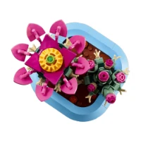 Immagine di LEGO® Botanicals Cactus in Fiore 11509