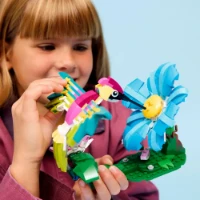 Immagine di LEGO® Creator 3-in-1 Animali Selvatici: Colibrì Variopinto 31384