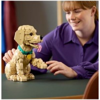 LEGO Icons Cucciolo di Golden Retriever 11384
