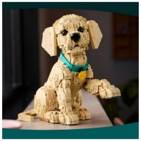LEGO Icons Cucciolo di Golden Retriever 11384