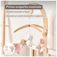 Nattou Giostrina in Legno