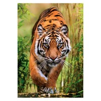 Clementoni Puzzle 1000 Pezzi The Hunter's Path
