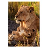 Clementoni Puzzle 500 Pezzi Feline Love