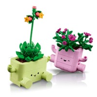 LEGO Botanicals Piante Dondolanti 11506