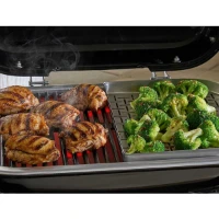 Weber Barbecue Elettrico Lumin Compact 91010953