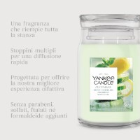 Immagine di Yankee Candle Signature Candela in Giara Grande Cucumber Mint Cooler 90 Ore