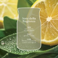 Immagine di Yankee Candle Signature Candela in Giara Grande Sage & Citrus 90 Ore