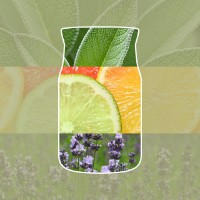 Immagine di Yankee Candle Signature Candela in Giara Grande Sage & Citrus 90 Ore