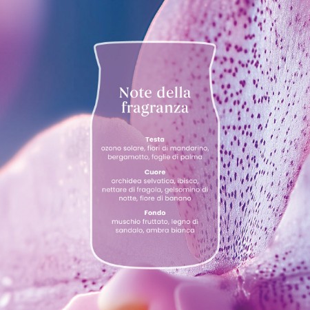 Immagine di Yankee Candle Signature Candela in Giara Grande Wild Orchid 90 Ore