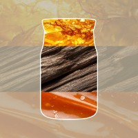 Immagine di Yankee Candle Signature Candela in Giara Media Amber & Sandalwood 50 Ore