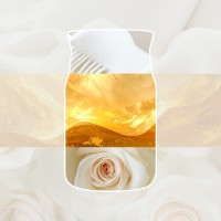 Immagine di Yankee Candle Signature Candela in Giara Media Soft Blanket 50 Ore