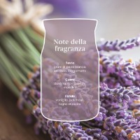 Immagine di Yankee Candle Dried Lavender & Oak Candela in Giara Grande Signature