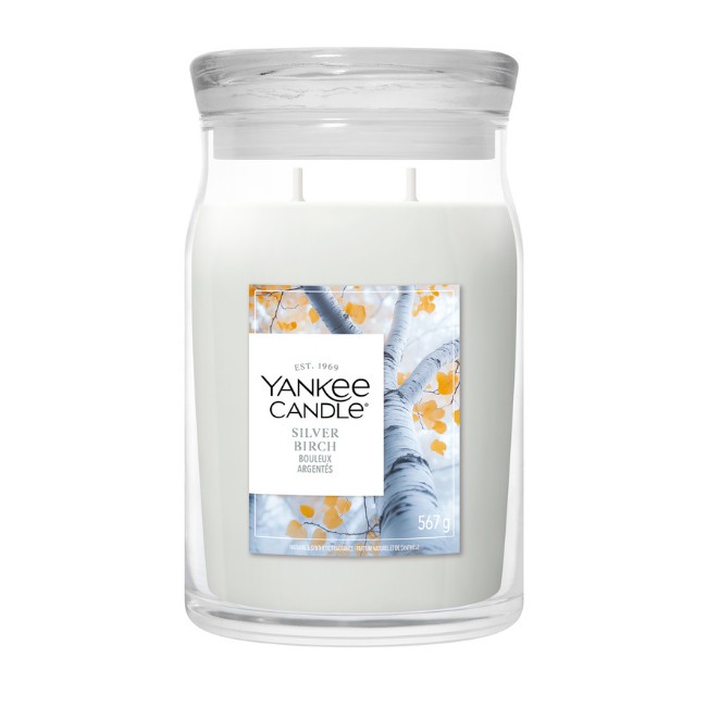 Immagine di Yankee Candle Silver Birch Candela in Giara Grande Signature