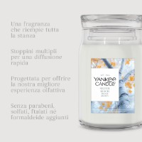 Immagine di Yankee Candle Silver Birch Candela in Giara Grande Signature