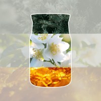 Immagine di Yankee Candle Silver Birch Candela in Giara Media Signature