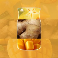 Immagine di Yankee Candle Starfruit & Sunshine Candela in Giara Media Signature