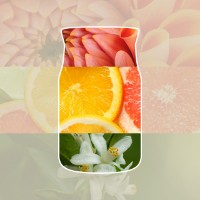 Immagine di Yankee Candle Sun & Sand Candela in Giara Media Signature