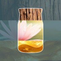 Immagine di Yankee Candle Bayside Cedar Candela in Giara Piccola Signature
