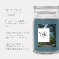 Immagine di Yankee Candle Bayside Cedar Candela in Giara Piccola Signature