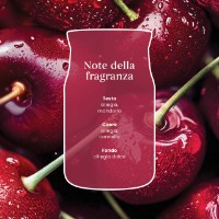Immagine di Yankee Candle Black Cherry Candela in Giara Piccola Signature