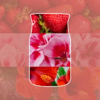 Immagine di Yankee Candle Cliffside Sunrise Candela in Giara Piccola Signature