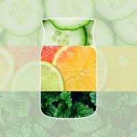 Immagine di Yankee Candle Cucumber Mint Cooler Candela in Giara Piccola Signature