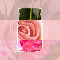 Immagine di Yankee Candle Fresh Cut Roses Candela in Giara Piccola Signature