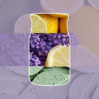 Immagine di Yankee Candle Lemon Lavender Candela in Giara Piccola Signature