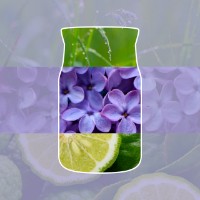 Immagine di Yankee Candle Lilac Blossoms Candela in Giara Piccola Signature