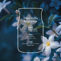 Immagine di Yankee Candle Midnight Jasmine Candela in Giara Piccola Signature