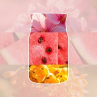 Immagine di Yankee Candle Pink Sands Candela in Giara Piccola Signature