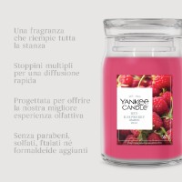 Immagine di Yankee Candle Red Raspberry Candela in Giara Piccola Signature
