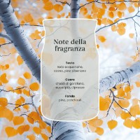 Immagine di Yankee Candle Silver Birch Candela in Giara Piccola Signature