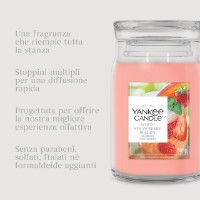 Immagine di Yankee Candle White Strawberry Bellini Candela in Giara Piccola Signature