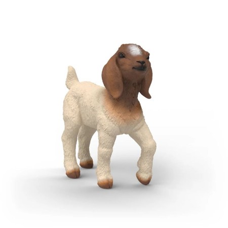 Schleich Farm World Capretta Boera