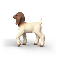 Schleich Farm World Capretta Boera