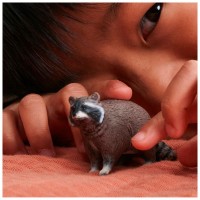 Schleich Wild Life Procione 14937