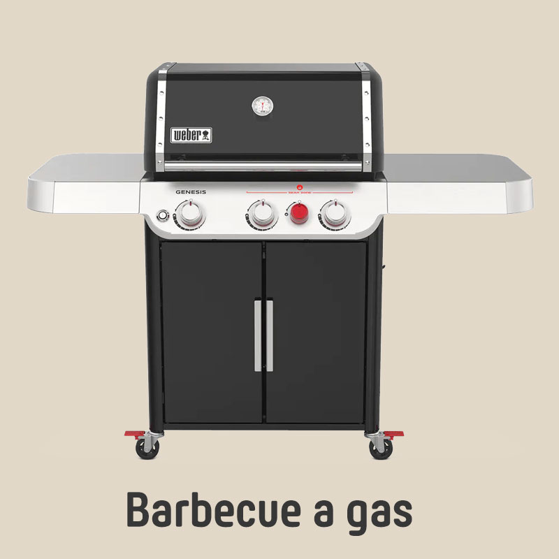 Barbecue a Gas Weber
