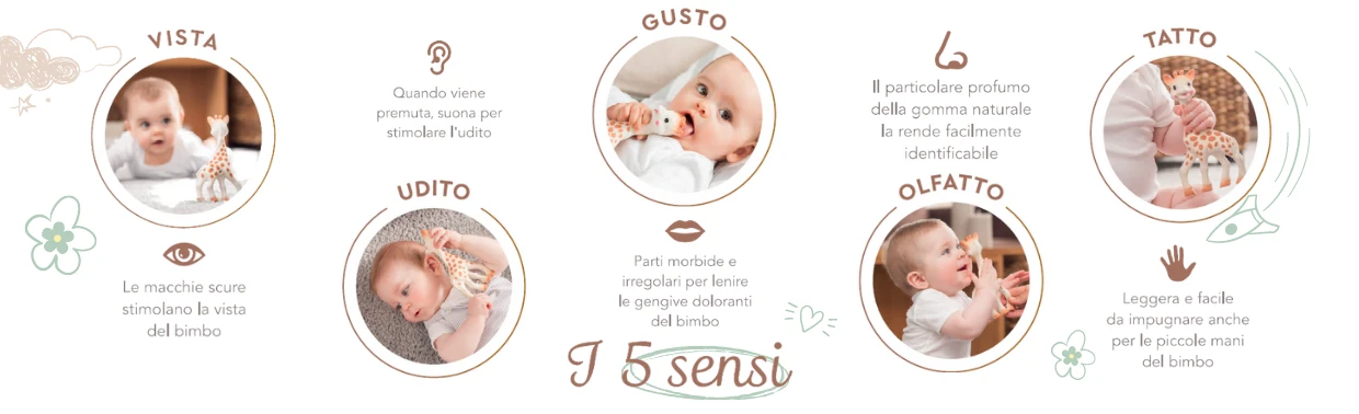 Giraffa Sophie in offerta da Paniate.it