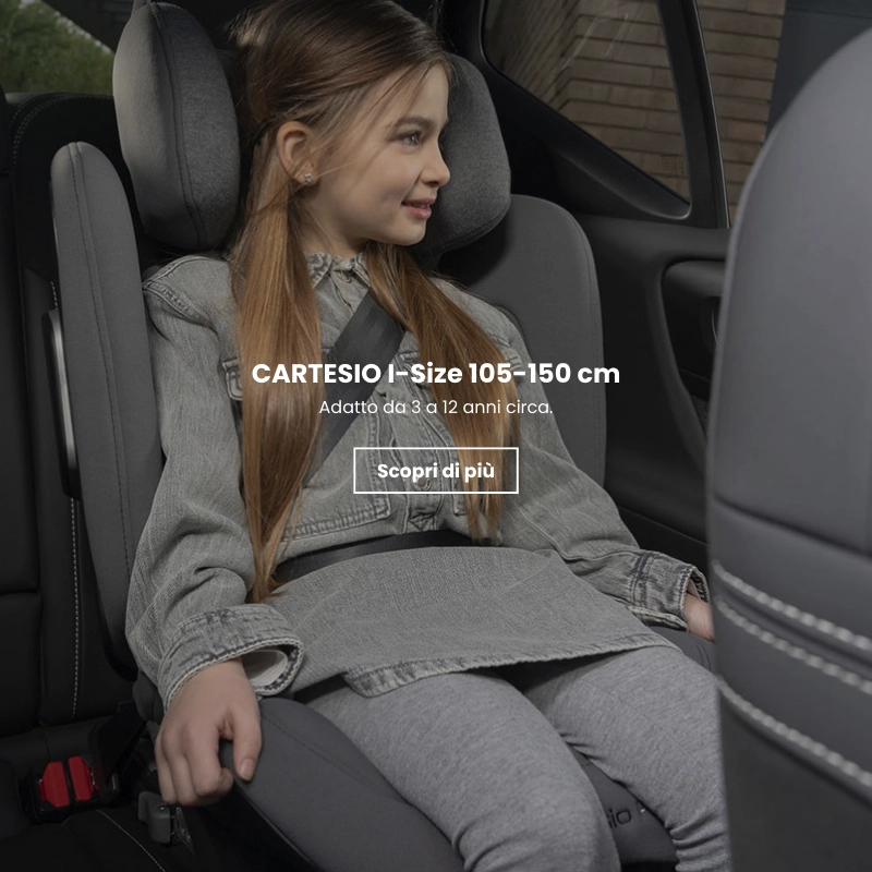 Seggiolino auto Cartesio